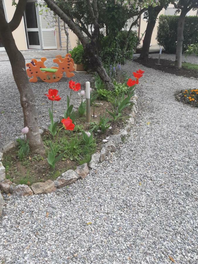 Villa Salvini Marina Di Pisa Ngoại thất bức ảnh